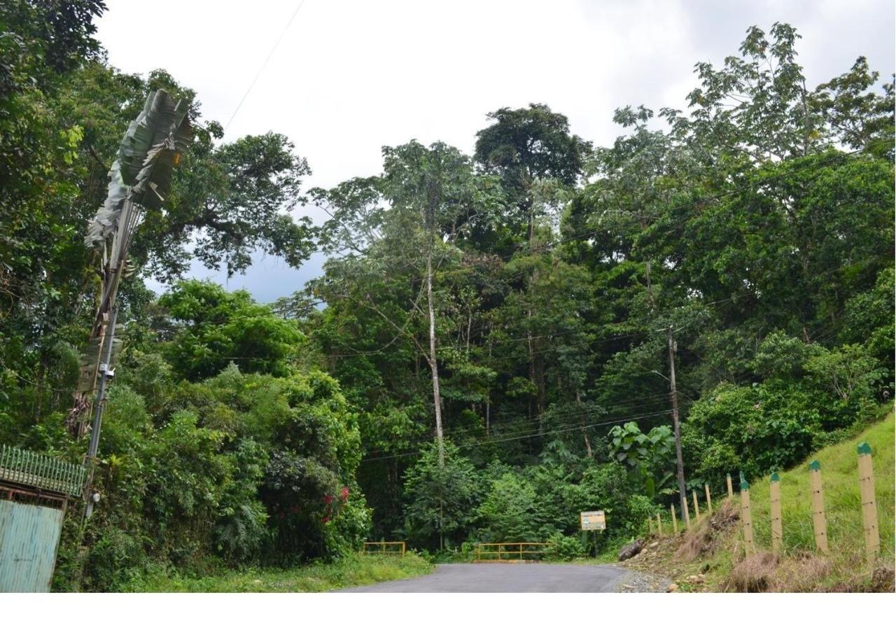 Casa Rio Blanco Eco Friendly B&B Guápiles エクステリア 写真